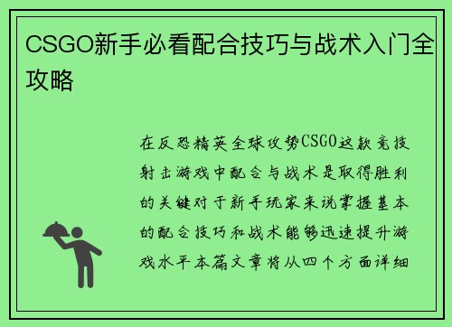 CSGO新手必看配合技巧与战术入门全攻略