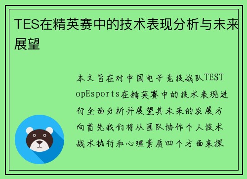 TES在精英赛中的技术表现分析与未来展望